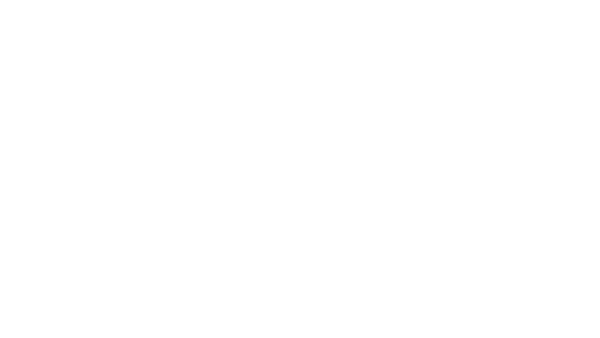 Omnicom Media Group